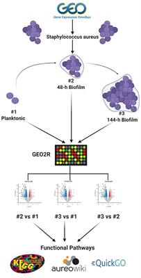 Microbial Metabolic Genes Crucial for S. aureus Biofilms: An Insight From Re-analysis of Publicly Available Microarray Datasets